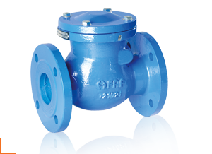 FAF 2270 DN250 PN16 Flanşlı Çalpara Çekvalf