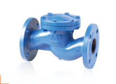 FAF 2250 DN65 PN16 Flanşlı Yaylı Çekvalf