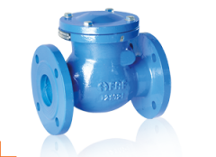 FAF 2270 DN65 PN16 Flanşlı Çalpara Çekvalf