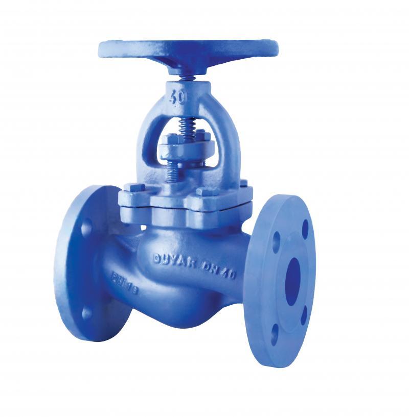 DN 150 Glob Vana PN 16 Flanşlı Pik döküm