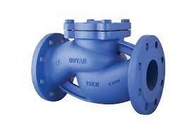 DN 100 Yaylı Çek Vana PN 16 Flanşlı Pik döküm