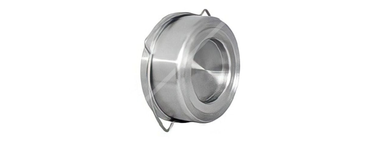 DN 80 Disk Tip Çek Vana Flanşlı PN 16 (SS304)